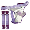Art Deco Harness and Dildo